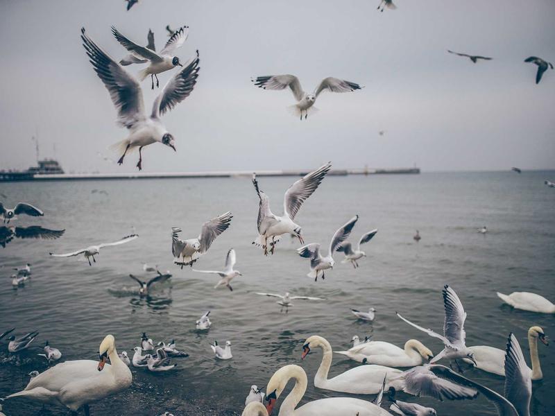 android screenshot 5